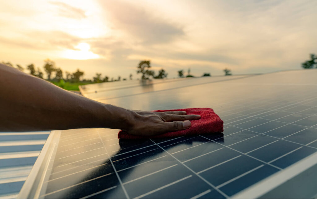 Solar Panel Cleaning Services