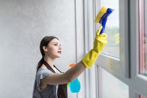 Window Cleaning Maintenance